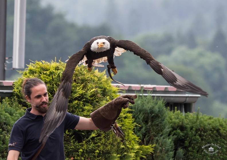 Ausflug Fotoforum 2017--2.jpg
