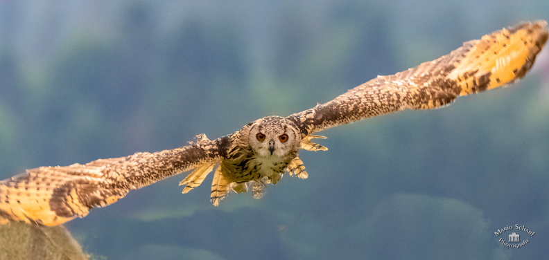 Ausflug Fotoforum 2017--5.jpg