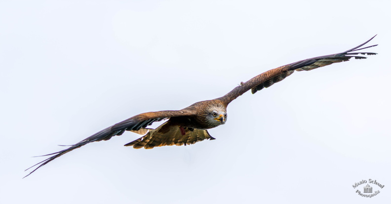 Ausflug Fotoforum 2017--10.jpg