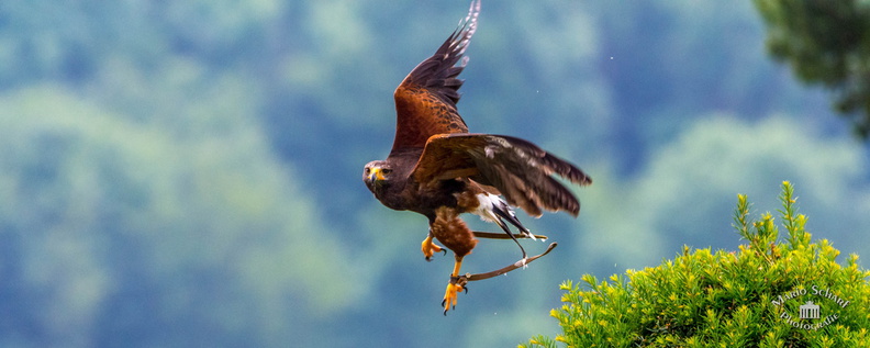 Ausflug Fotoforum 2017-9109 - Kopie.jpg