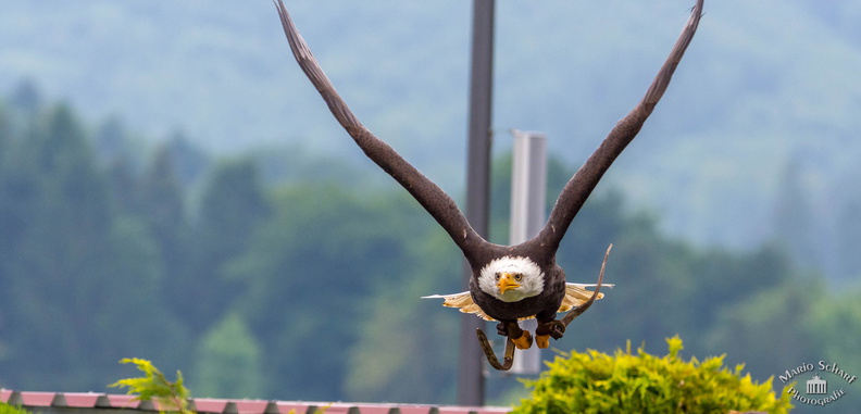 Ausflug Fotoforum 2017-9127 - Kopie.jpg