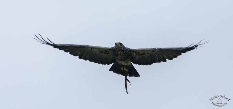 Ausflug Fotoforum 2017-9161 - Kopie.jpg