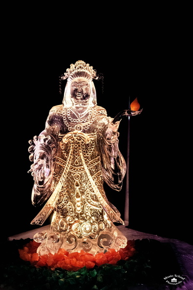 Karls Erdbeerhof 14.01.2020--7.jpg