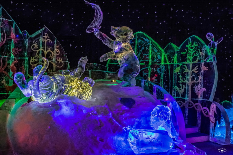 Karls Erdbeerhof 14.01.2020--10.jpg